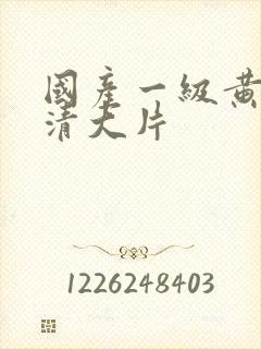 国产一级黄色高清大片