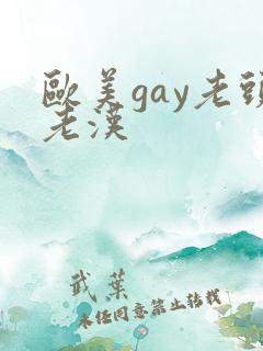 欧美gay老头老汉
