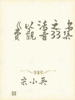 《以法之名》免费观看33集电视剧