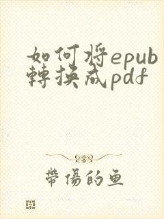 如何将epub转换成pdf