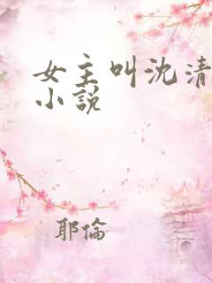 女主叫沈清漪的小说