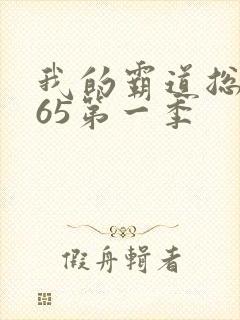 我的霸道总裁365第一季