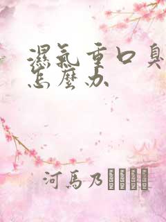 湿气重口臭口苦怎么办