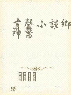有声小说乡村小神医