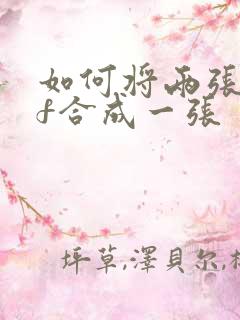 如何将两张pdf合成一张