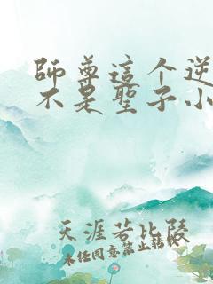 师尊这个逆徒才不是圣子小说