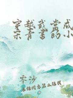 穿越武当成为废宋青书的小说
