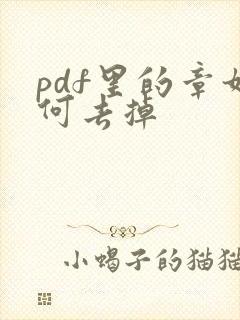 pdf里的章如何去掉