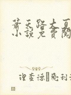 萧天路大夏傻神小说免费阅读全文