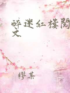 醉迷红楼阅读全文