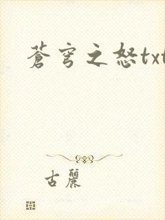 苍穹之怒txt