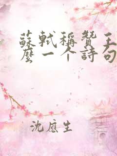 苏轼称赞王维什么一个诗句