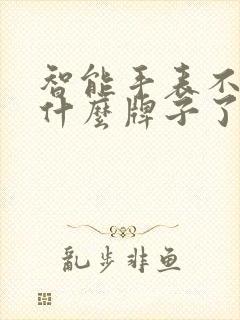 智能手表不知道什么牌子了怎么办