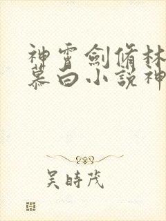 神霄剑修林枫苏慕白小说神霄