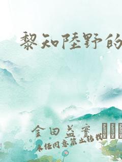 黎知陆野的小说