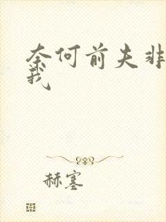 奈何前夫非要娶我