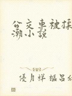 公交车被揉到高潮小说