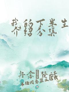 我的下半生剧情介绍分集