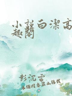 小说白洁高义笔趣阁