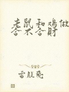 老鼠和鸡做生意合不合财