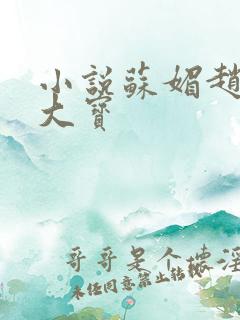 小说苏媚赵勇赵大宝