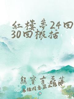 红楼梦24回到30回概括