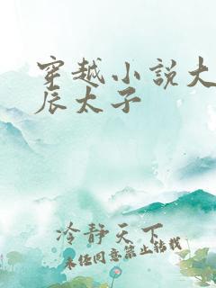 穿越小说大秦李辰太子