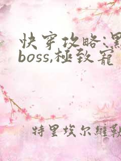 快穿攻略:黑化boss,极致宠