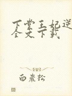 下堂王妃逆袭记全文下载
