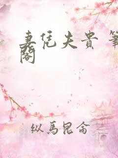 妻凭夫贵 笔趣阁