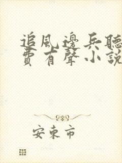 追风边兵听书免费有声小说