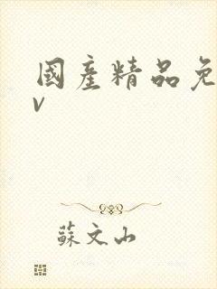 国产精品免费mv