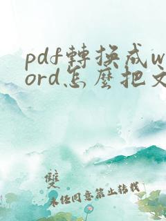 pdf转换成word怎么把文字的框去掉