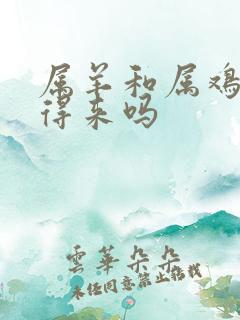 属羊和属鸡的合得来吗