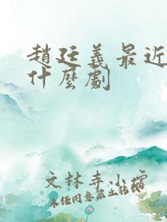 赵廷义最近演了什么剧