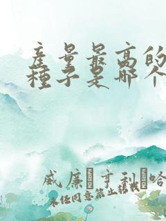 产量最高的玉米种子是哪个品种