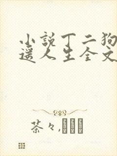 小说丁二狗的逍遥人生全文免费阅读
