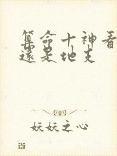 算命十神看天干还是地支