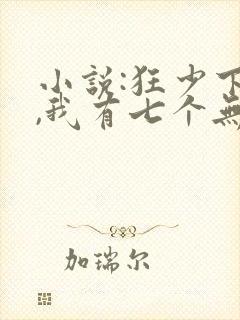 小说:狂少下山,我有七个无敌师父