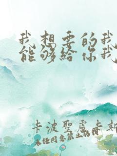 我想要的我却不能够给你我全部歌词