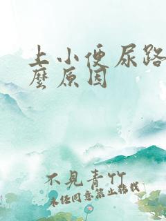 上小便尿路痛什么原因