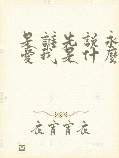 是谁先说永远的爱我是什么歌