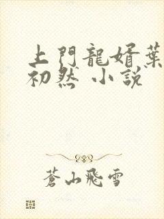 上门龙婿叶辰萧初然 小说