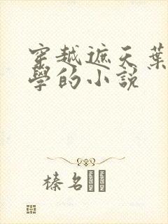 穿越遮天叶凡同学的小说