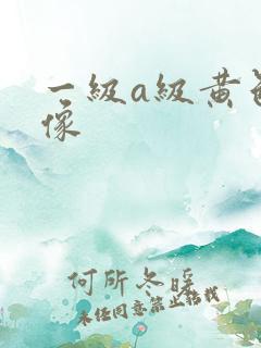 一级a级黄色录像