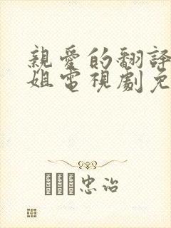 亲爱的翻译官小姐电视剧免费观看全集高清