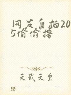 网友自拍2015偷偷撸