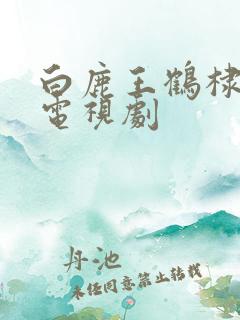 白鹿王鹤棣演的电视剧