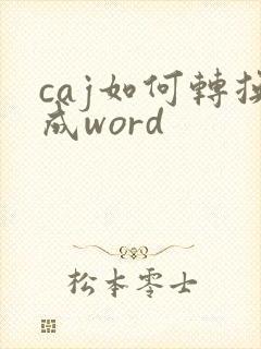 caj如何转换成word