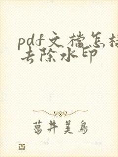 pdf文档怎样去除水印